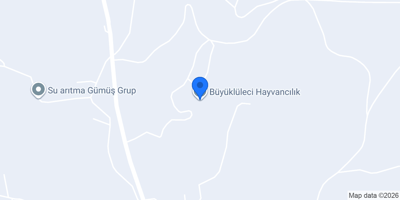 Büyüklüleci Hayvancılık konumu