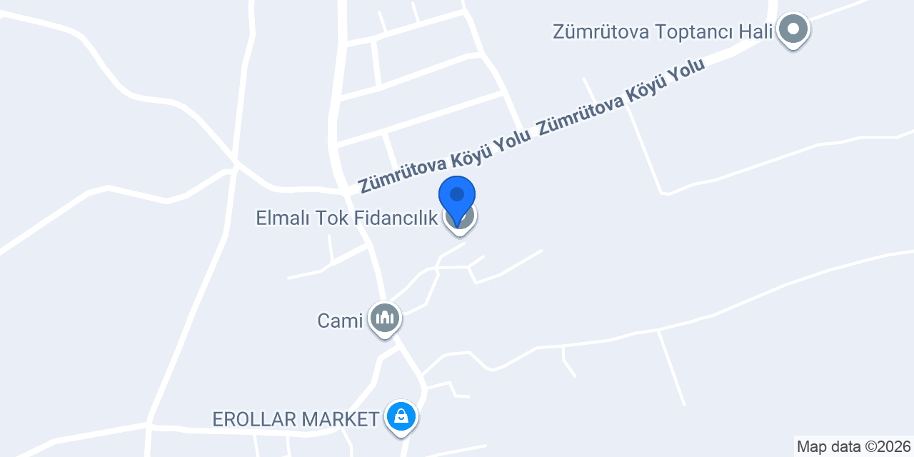 Elmalı Tok Fidancılık konumu