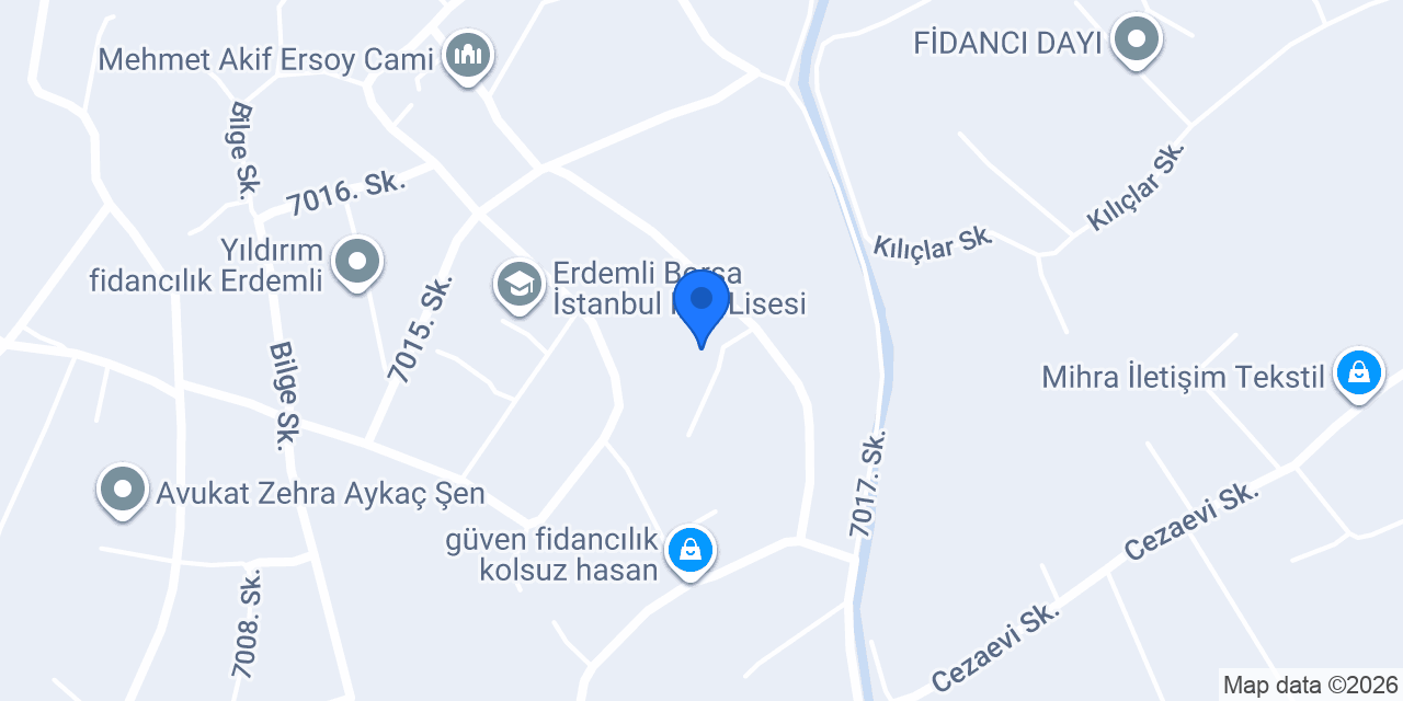 Yeşil Halı Yıkama konumu
