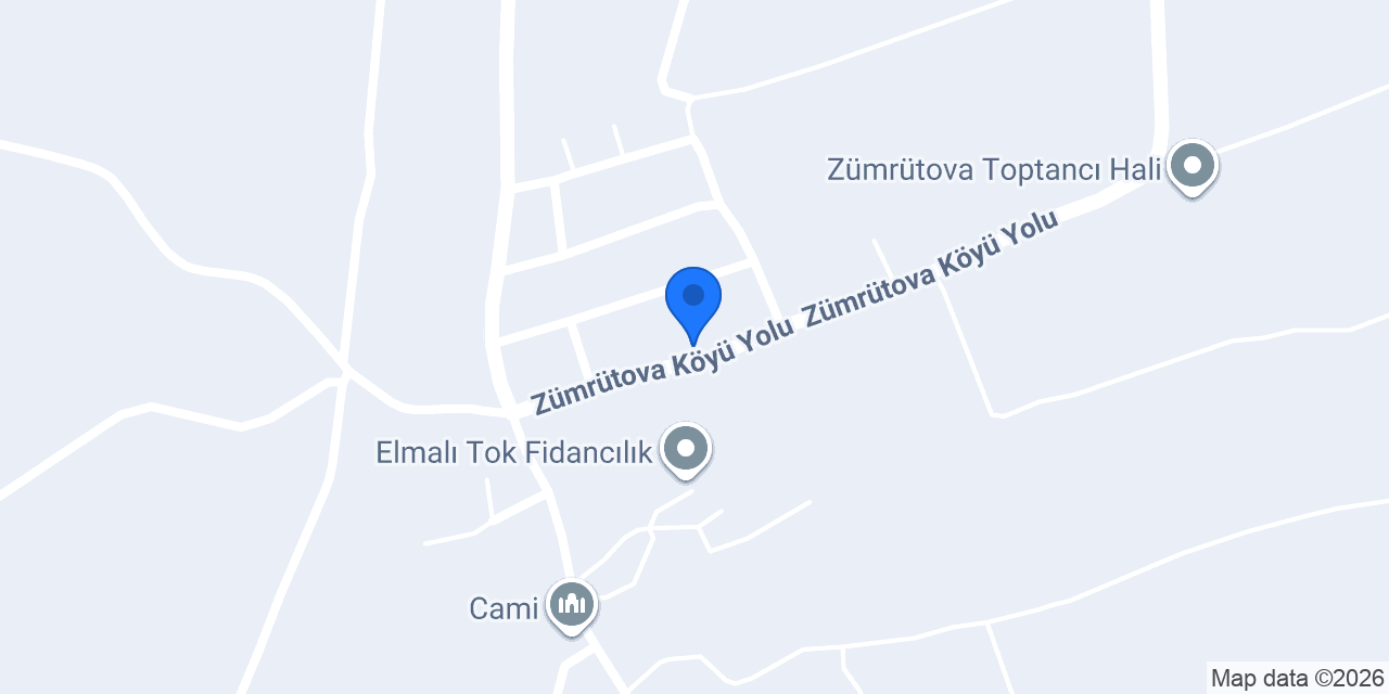 Cengiz konumu