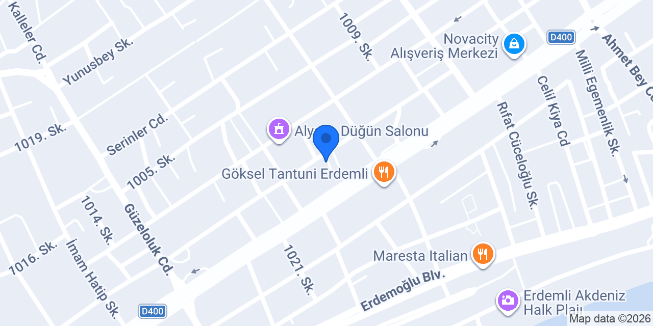Erdemli berra halı yıkama konumu