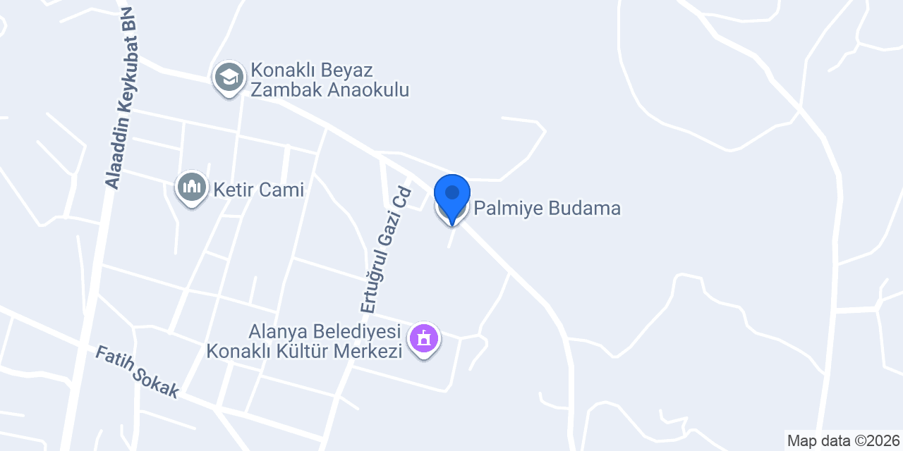 Palmiye Budama konumu