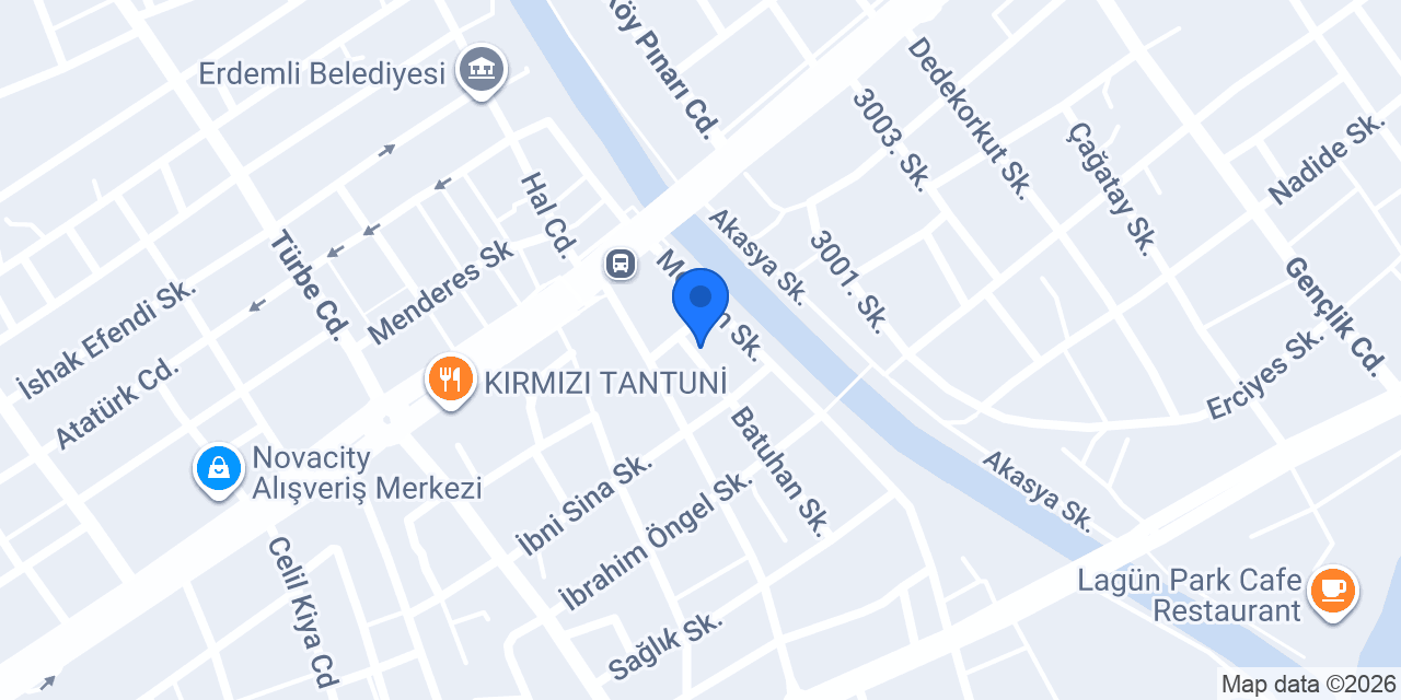 Arın Psikoloji Erdemli konumu