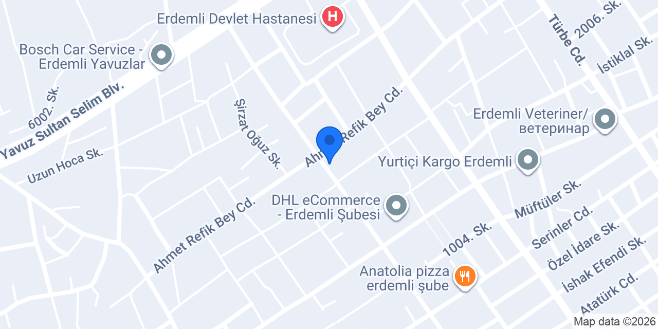 venezia pizza konumu