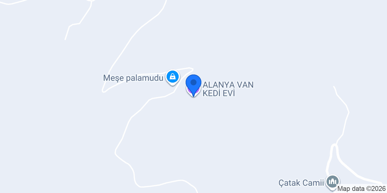 ALANYA VAN KEDİ EVİ konumu