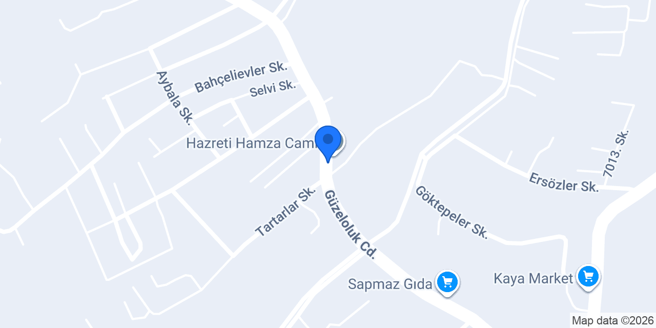 Erdemli Temizlik konumu