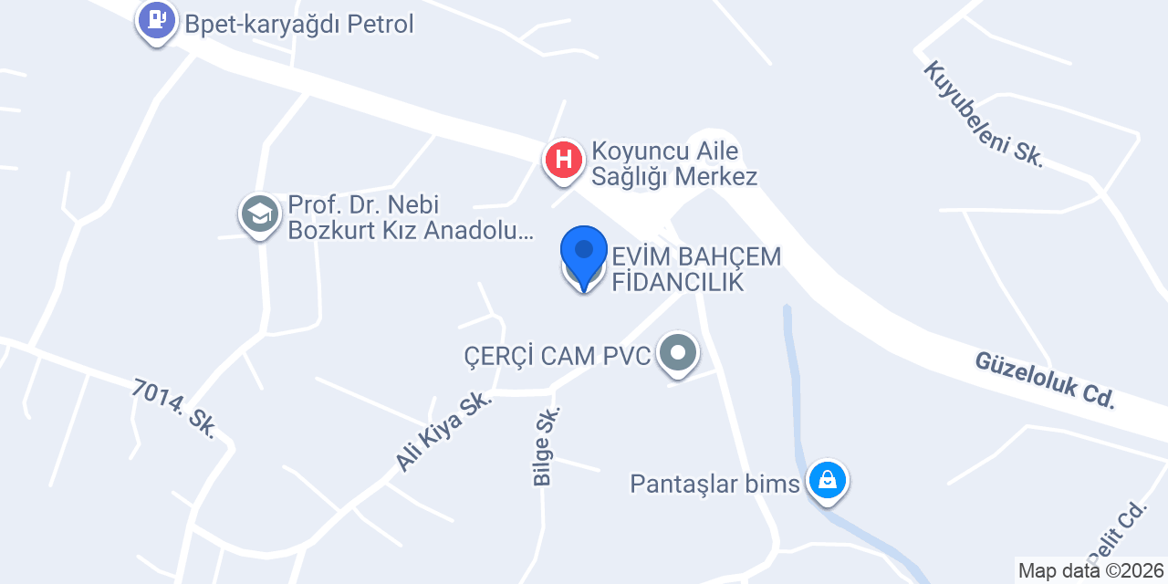 EVİM BAHÇEM FİDANCILIK konumu