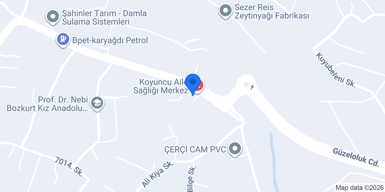 Dr. Mehmet Seyrek konumu