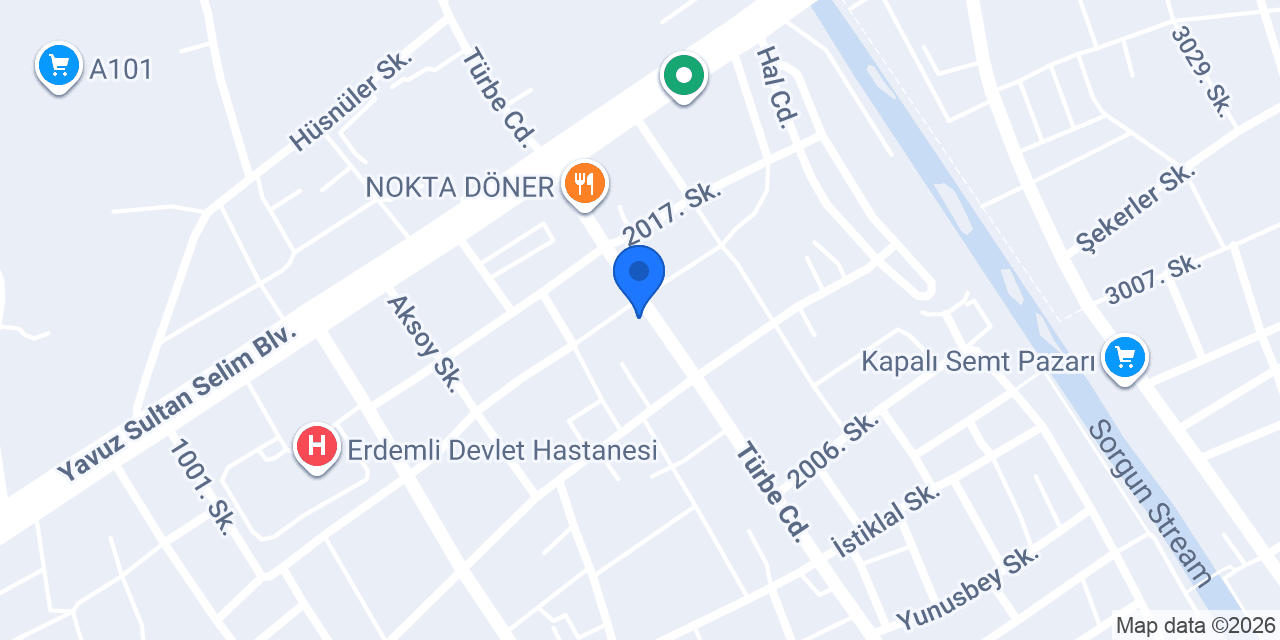 VMK VETERİNER KLİNİĞİ ERDEMLİ konumu