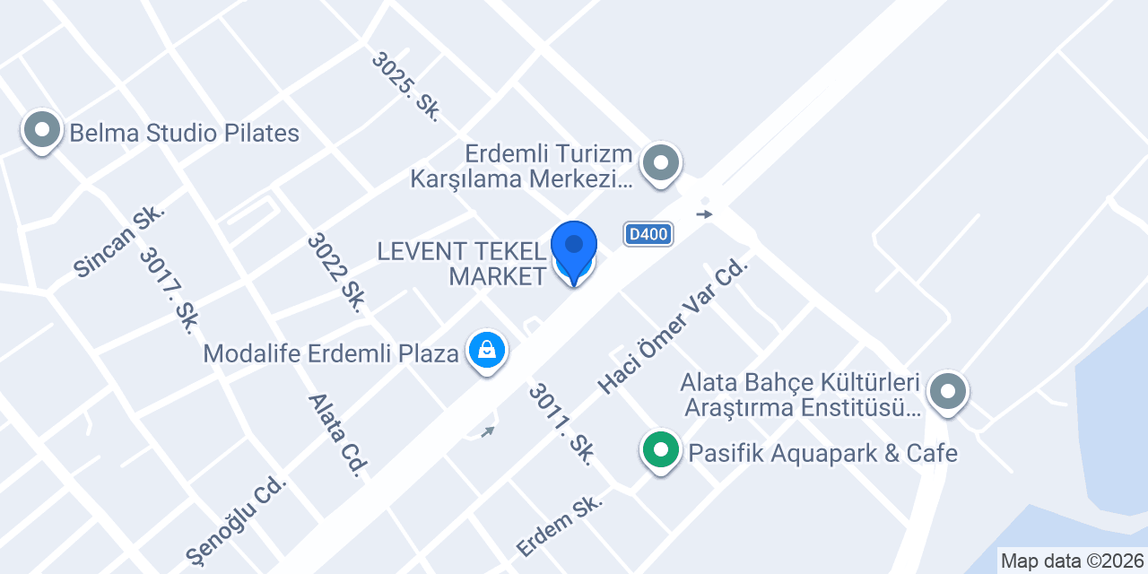 LEVENT TEKEL MARKET konumu