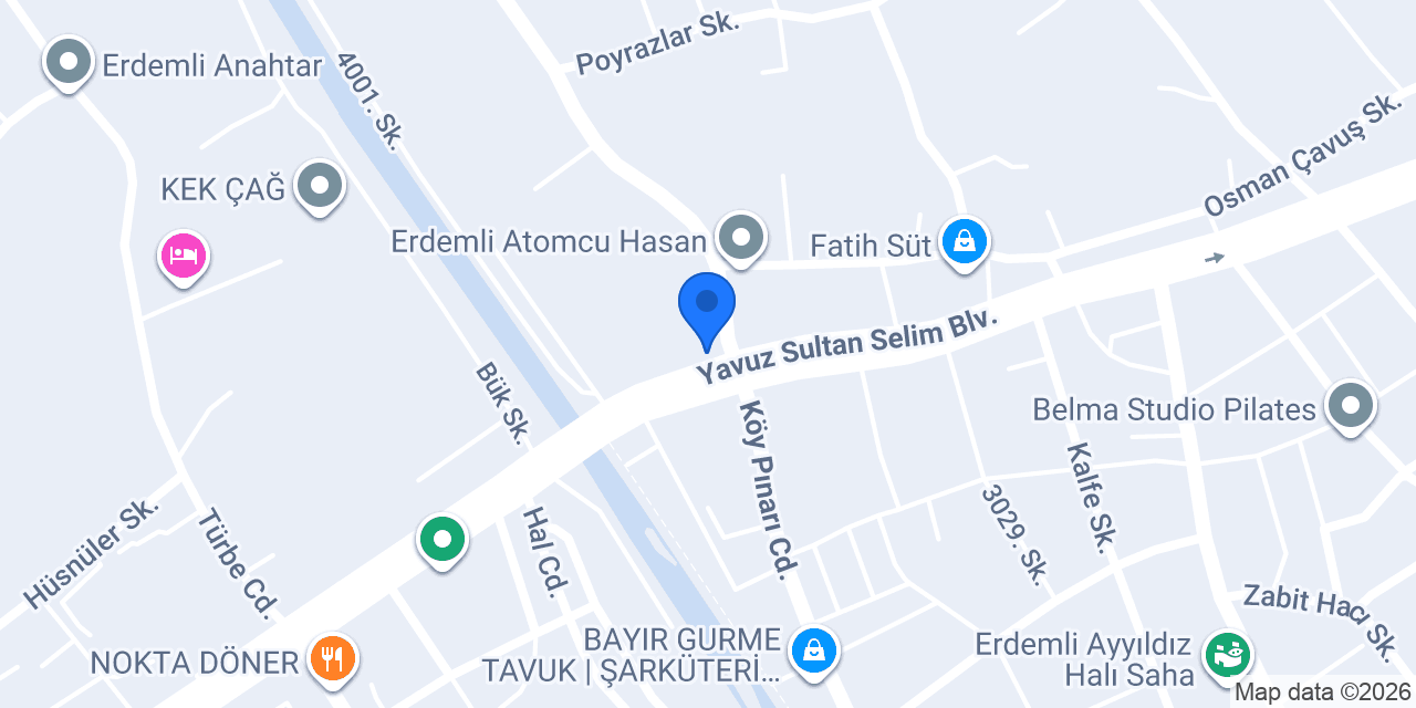 CONTİNENTAL ERDEMLİ ŞUBE - NESA LASTİK konumu