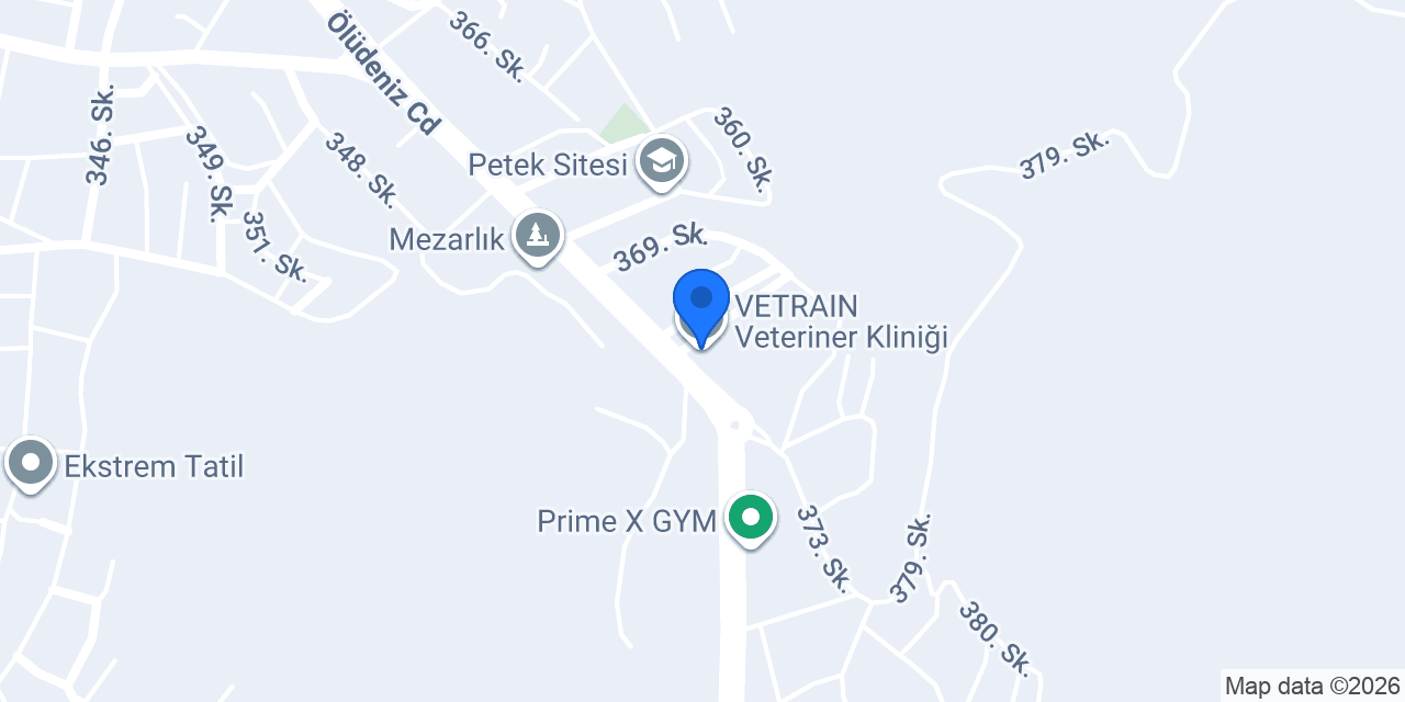 VETRAIN Veteriner Kliniği konumu