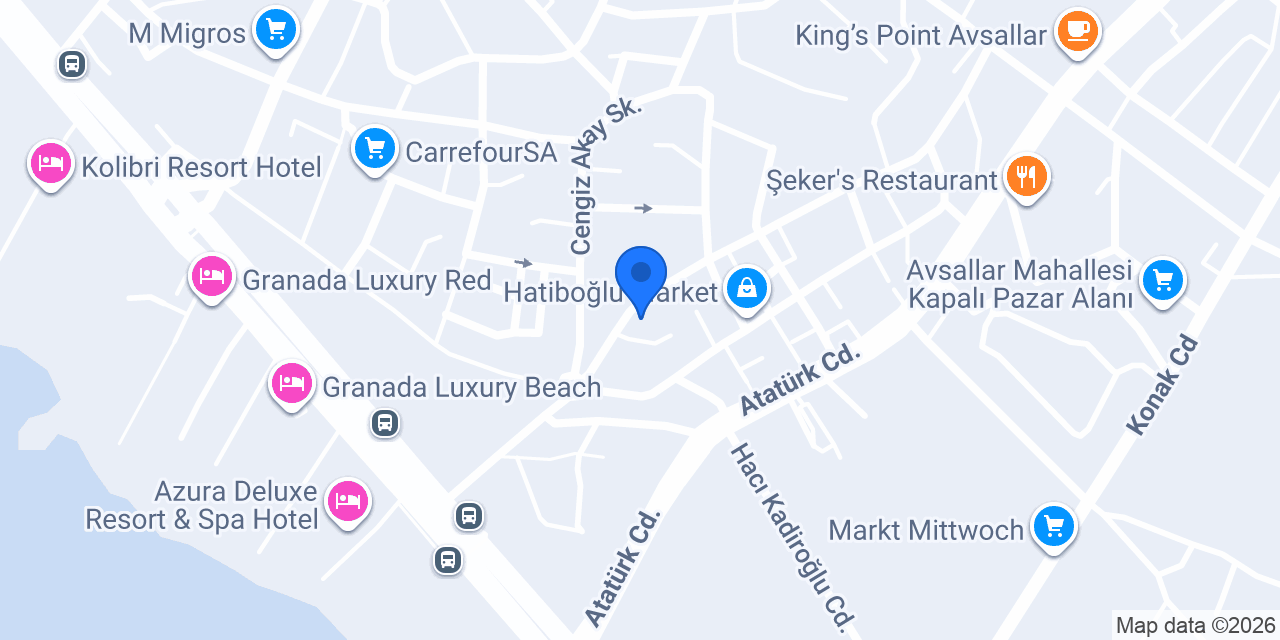 101 Rent A Car konumu