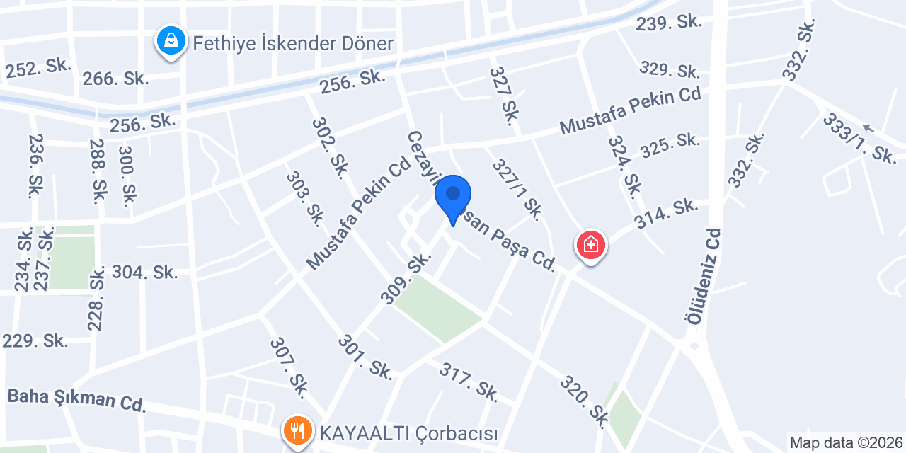 BBS GRUP PAŞAHAN GIDA FETHİYE konumu