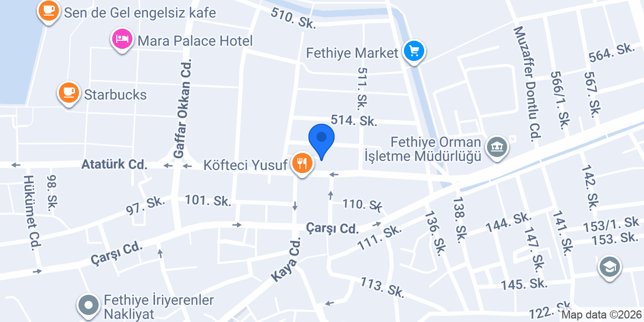 İleri Elektronik konumu