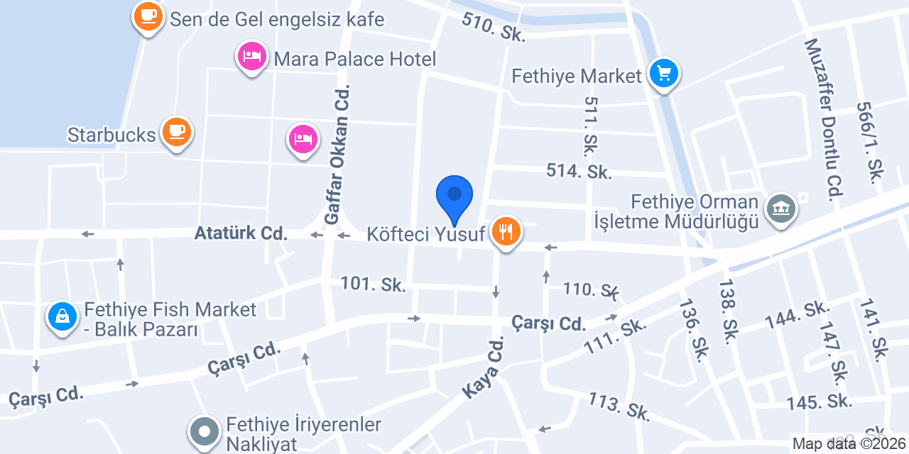 Mesut Elektronik konumu