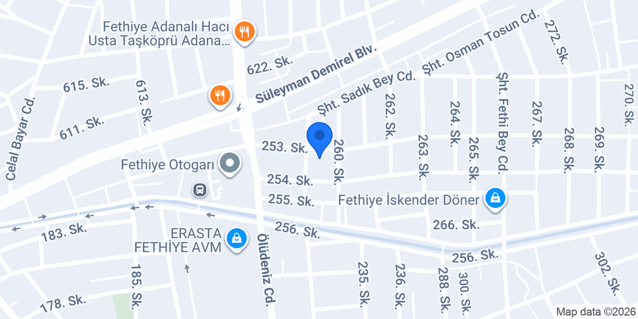 Erginler Ford Özel Servis Fethiye konumu