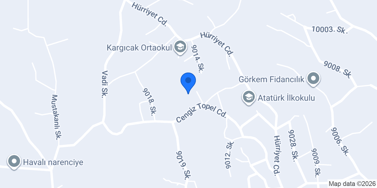 Vizyon Elektronik konumu