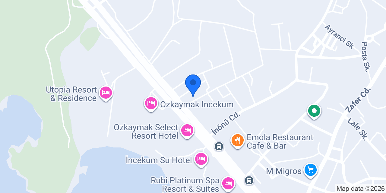 Vip Rent A Car konumu