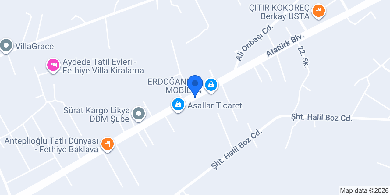 Tanır OTOMOTİV konumu