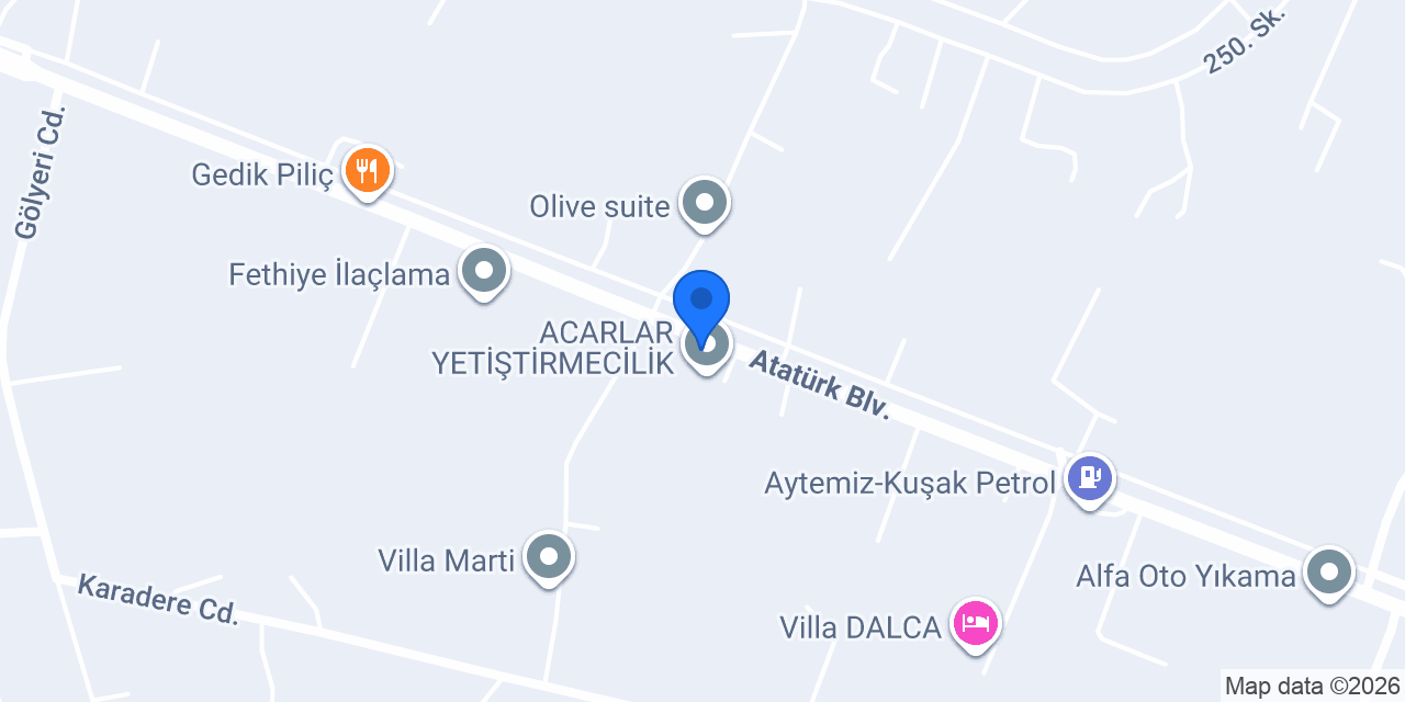 Fethiye Yangın Söndürme Sistemleri konumu