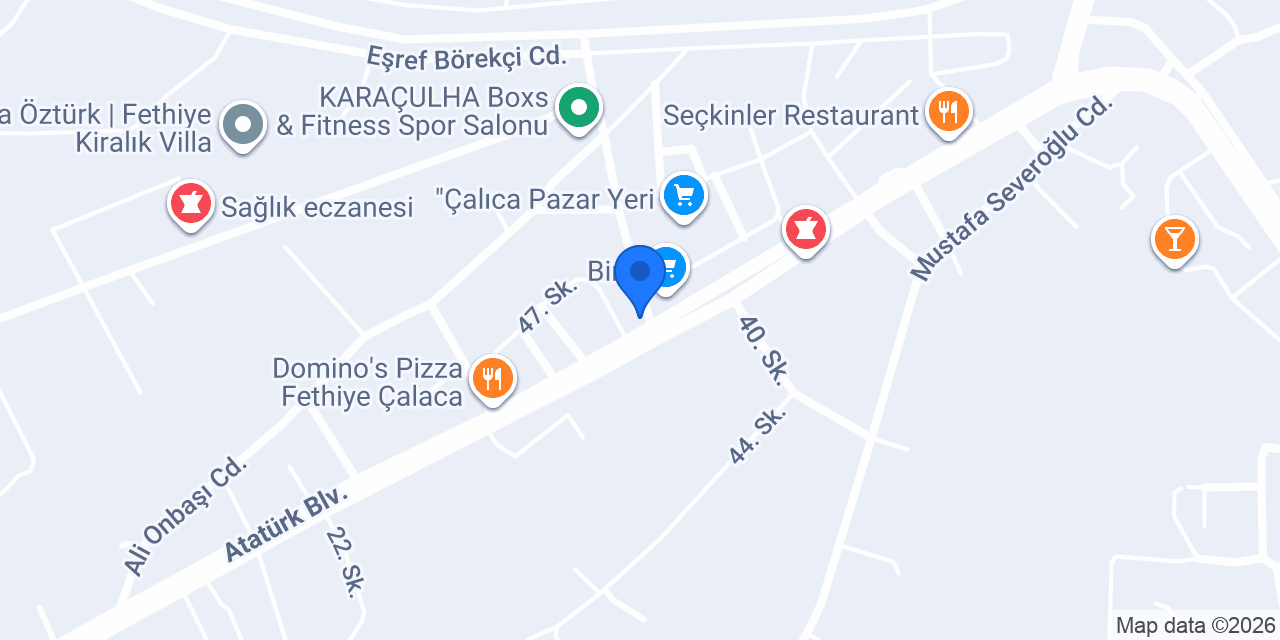 BÖCEK_Cİ fethiye ilaçlama konumu