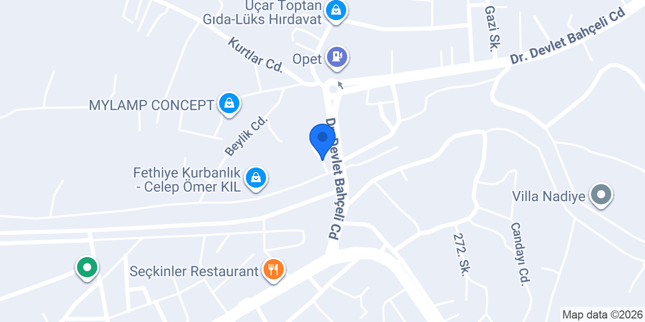 FETHİYE VİNÇ ( FORKLİFT SEPETLİ PLATFORM) konumu