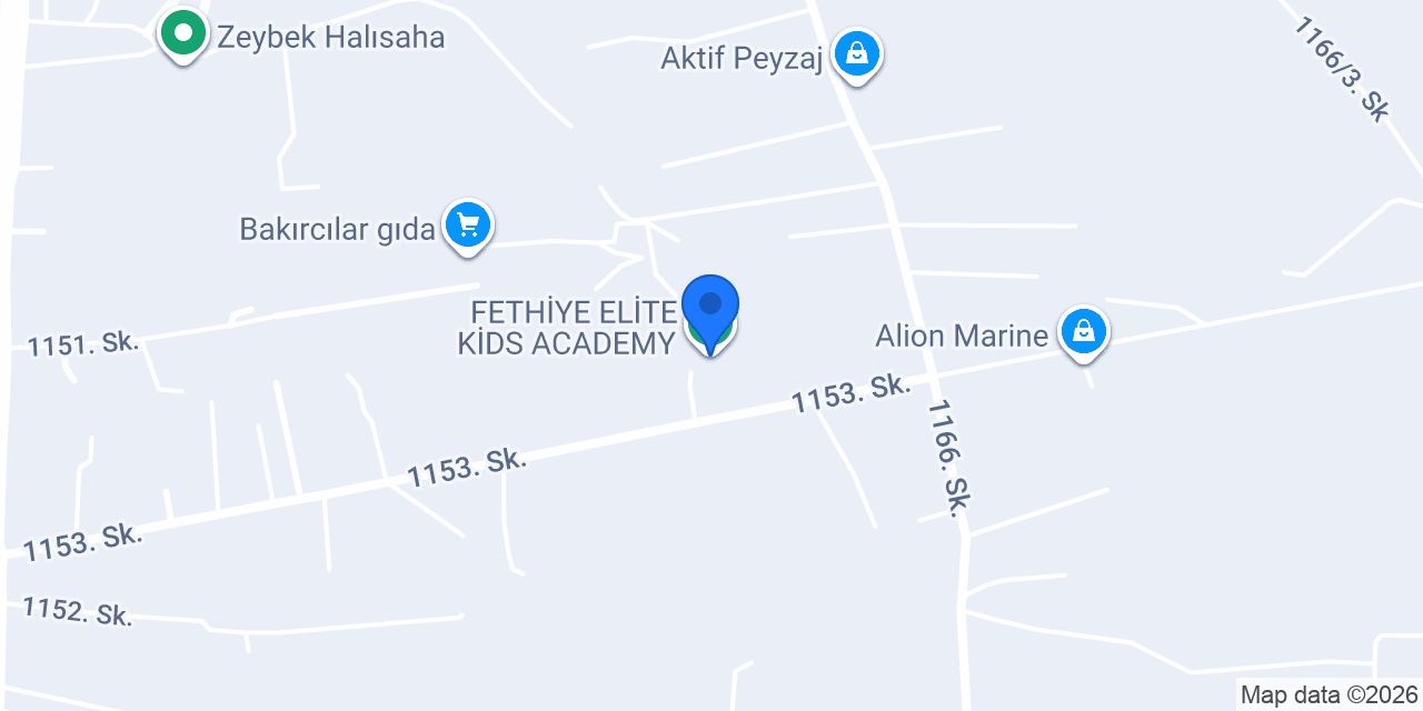 FETHİYE ELİTE KİDS ACADEMY konumu