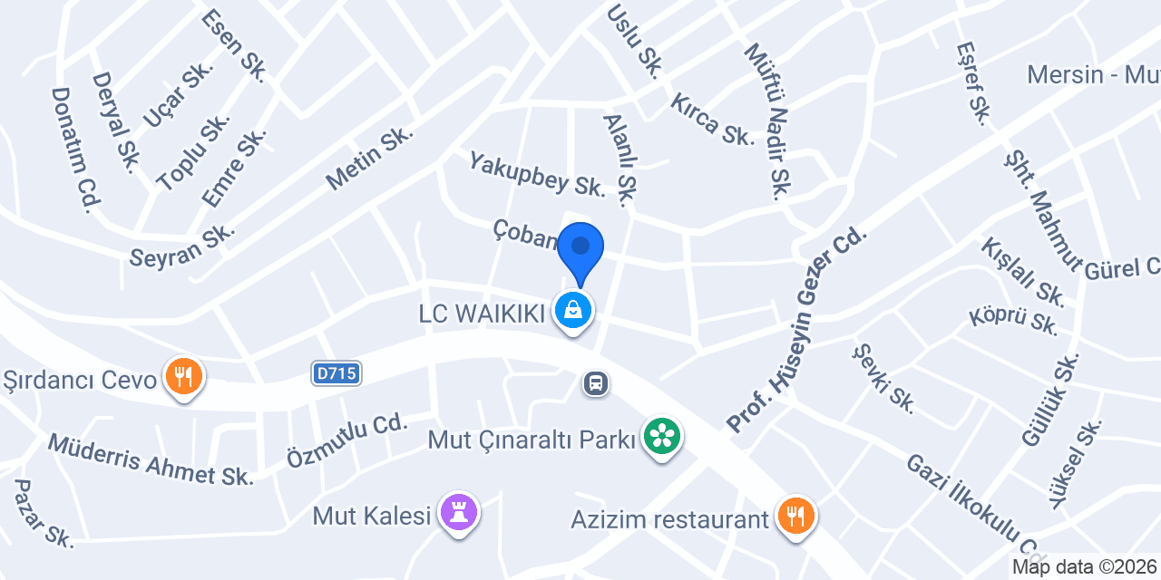 Lavinia Academy Yabancı Dil Kursu konumu