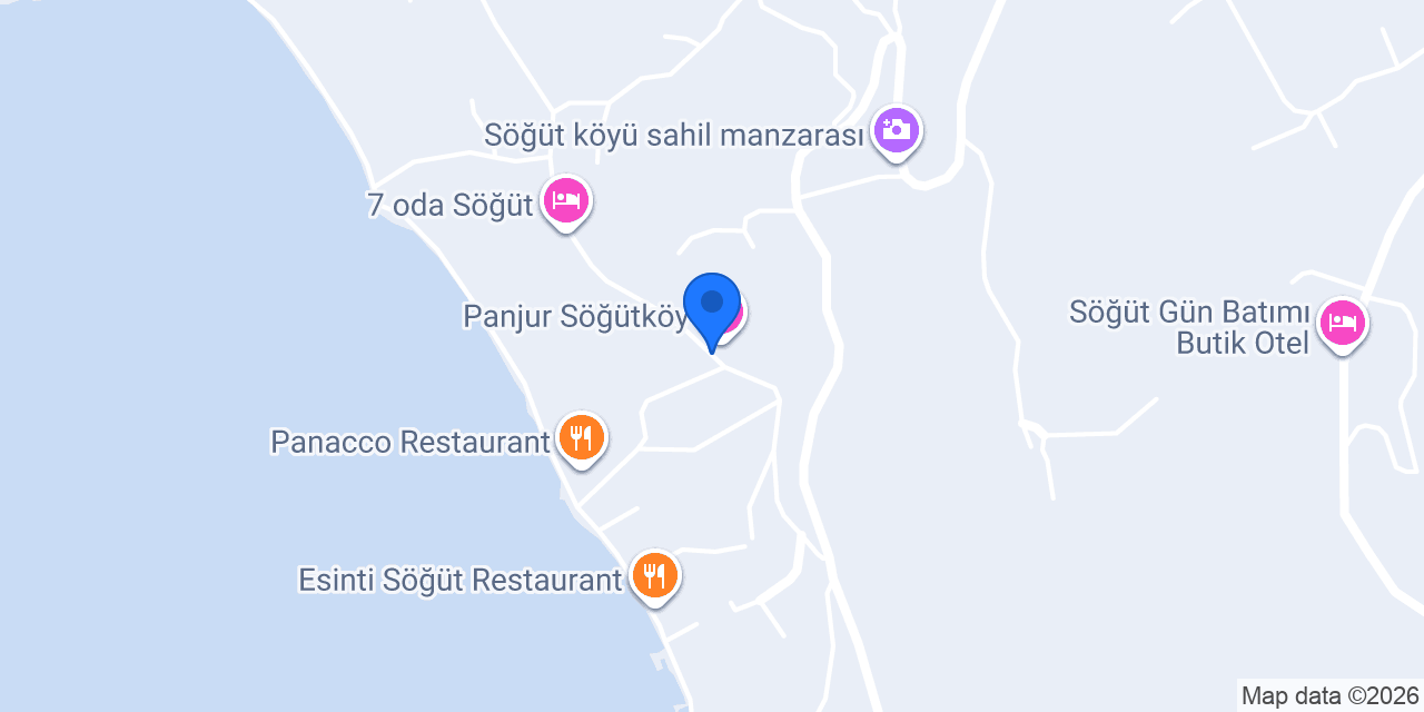 Niş Söğüt konumu