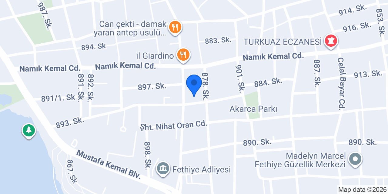 EGO Vize Danışmanlık konumu