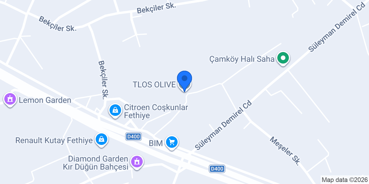 TLOS OLIVE konumu