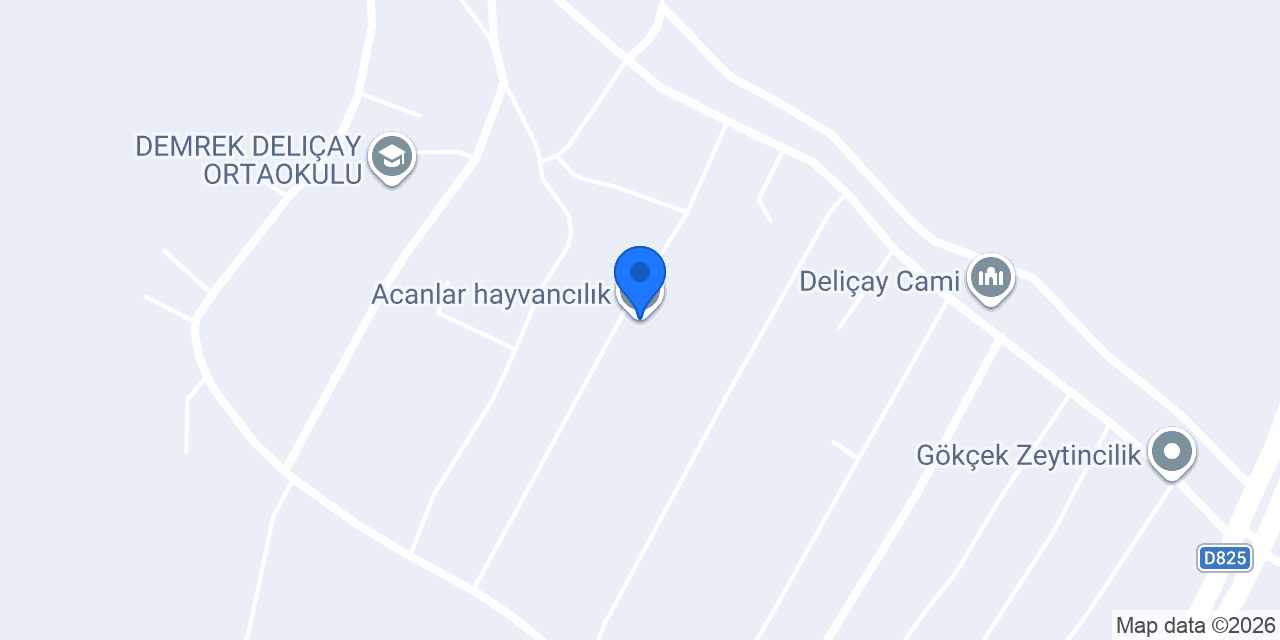Acanlar hayvancılık konumu