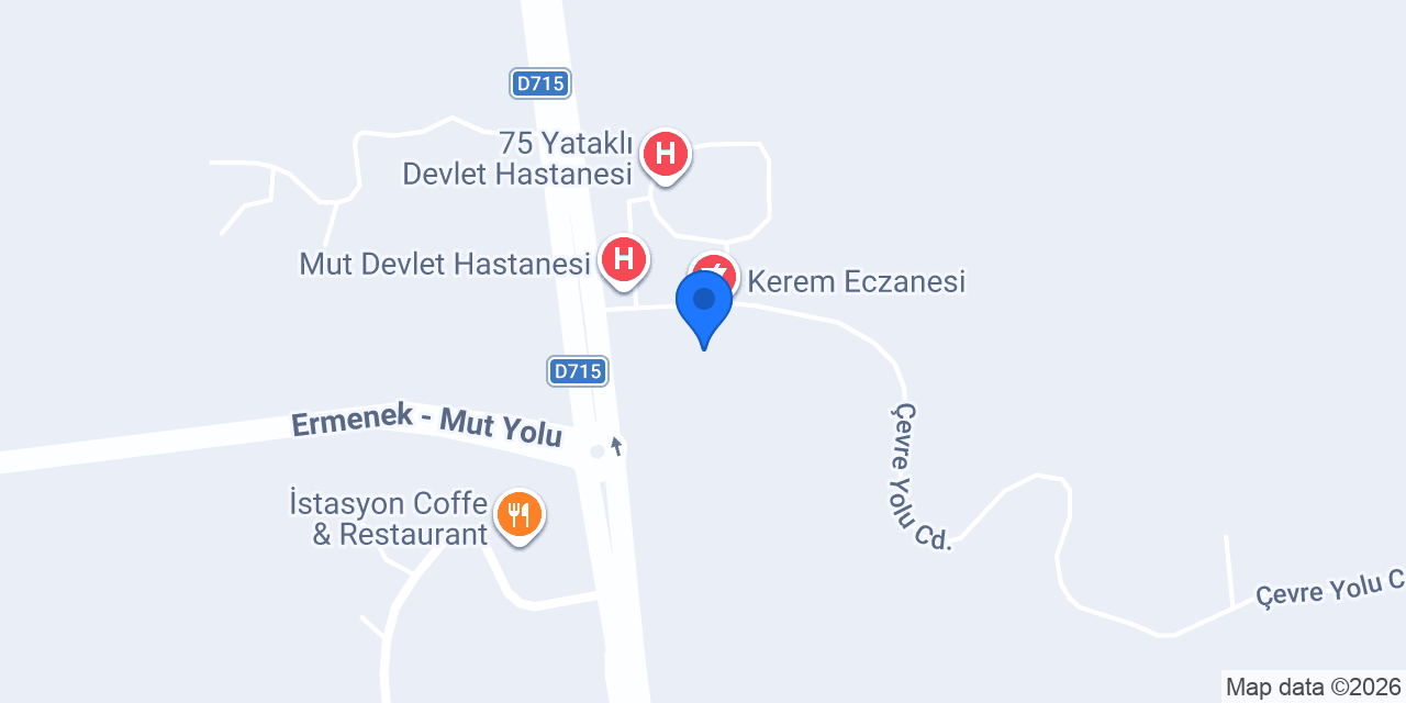 Filiz Hanım Lokanta konumu