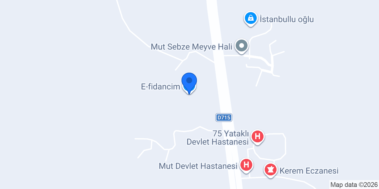 E-fidancim konumu