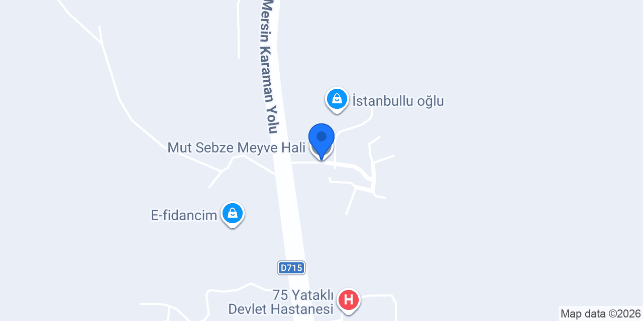 Mut Sebze Meyve Hali konumu