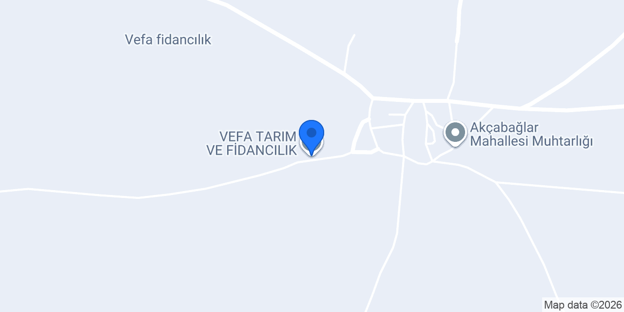 VEFA TARIM VE FİDANCILIK konumu