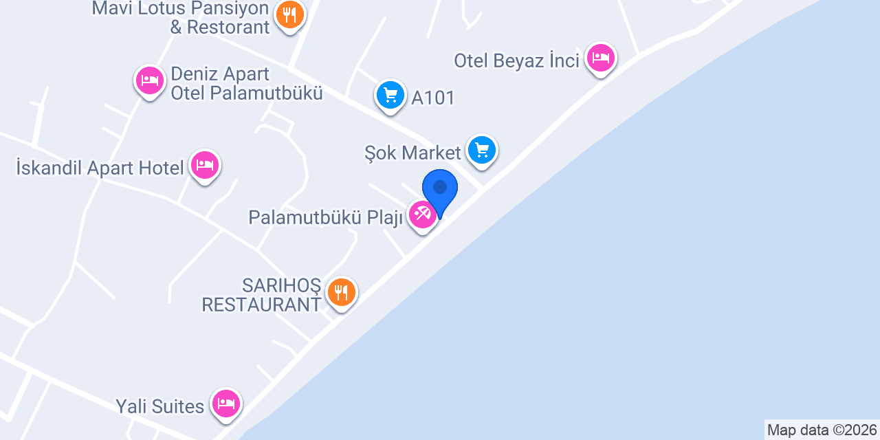 TEKİN USTA DONDURMA PALAMUTBÜKÜ konumu