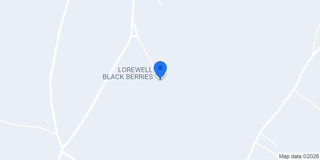 LOREWELL BLACK BERRIES konumu