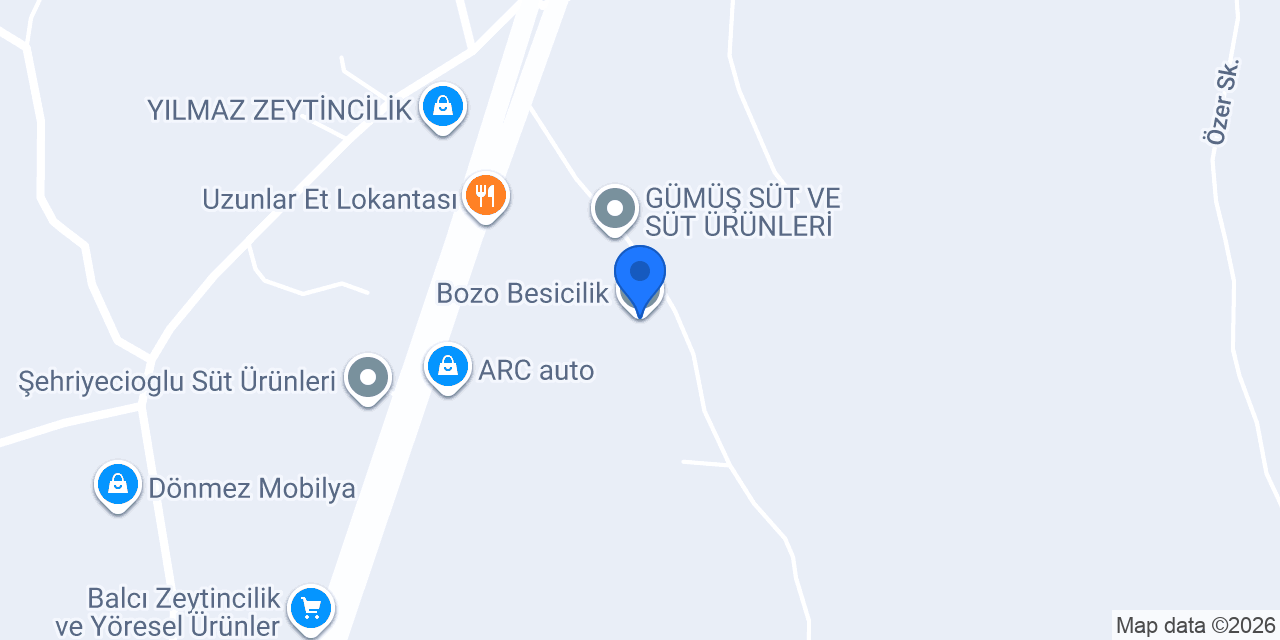 Bozo Besicilik konumu