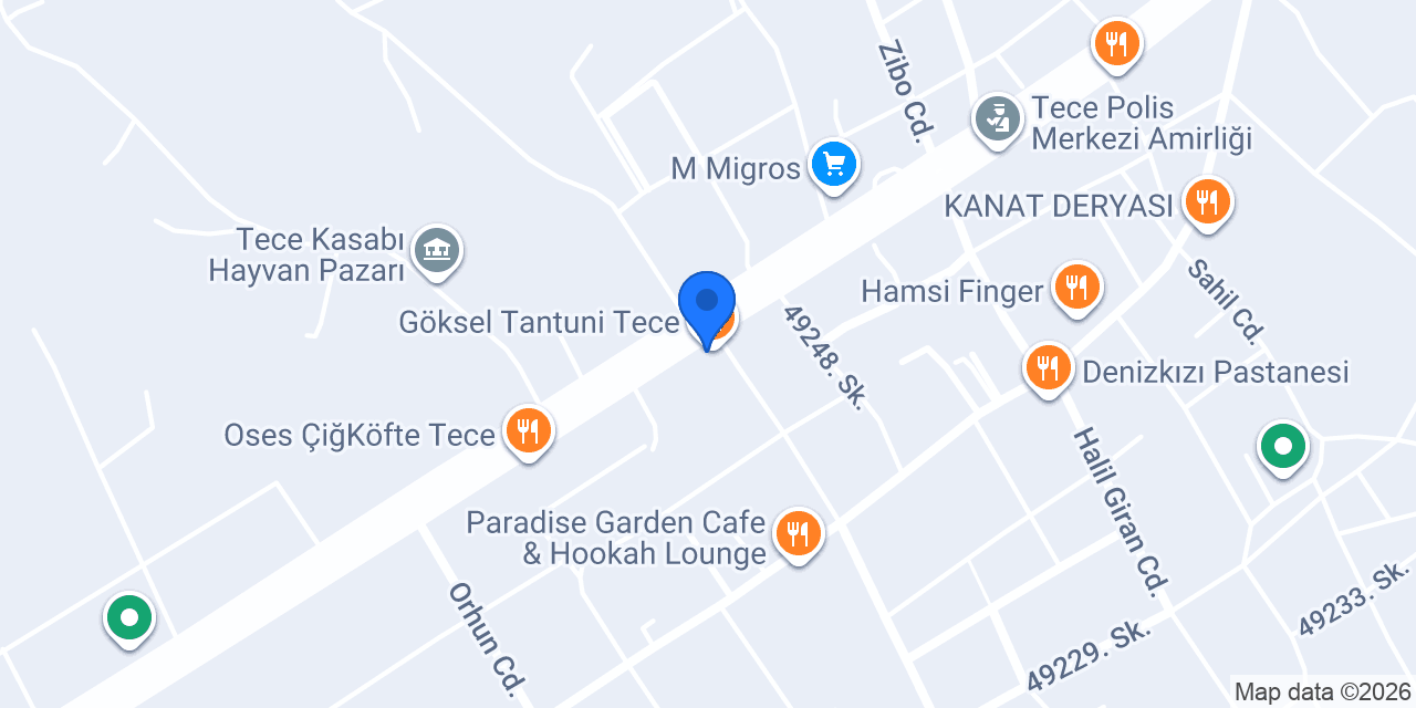 Göksel Tantuni Tece konumu