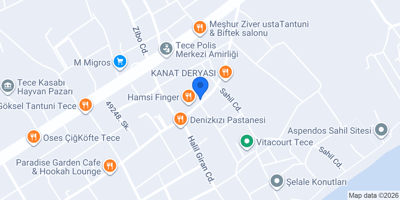 TECE VERA PETSHOP & PET KUAFÖR konumu