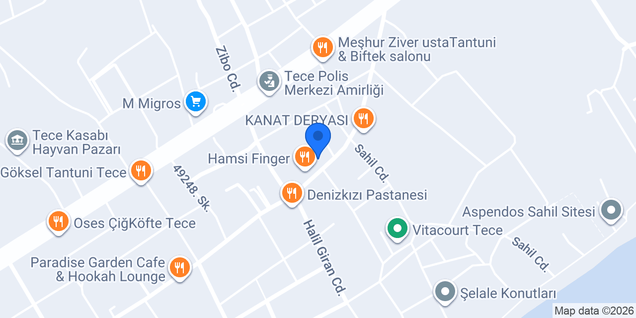 Tece Terzi Nergiz konumu
