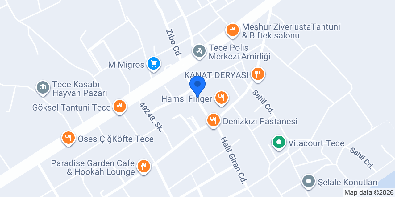 Tece berber kasabası konumu