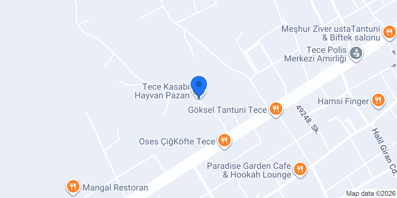 Tece Kasabı Hayvan Pazarı konumu