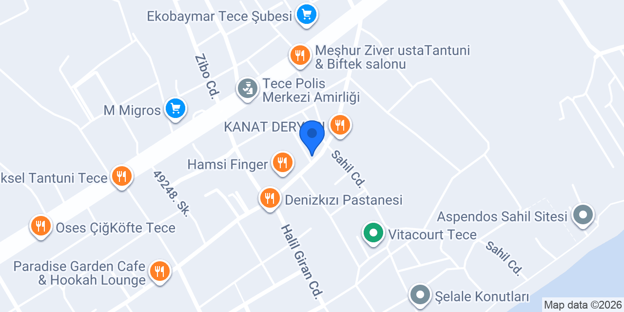 Anatolia Pizza Tece konumu