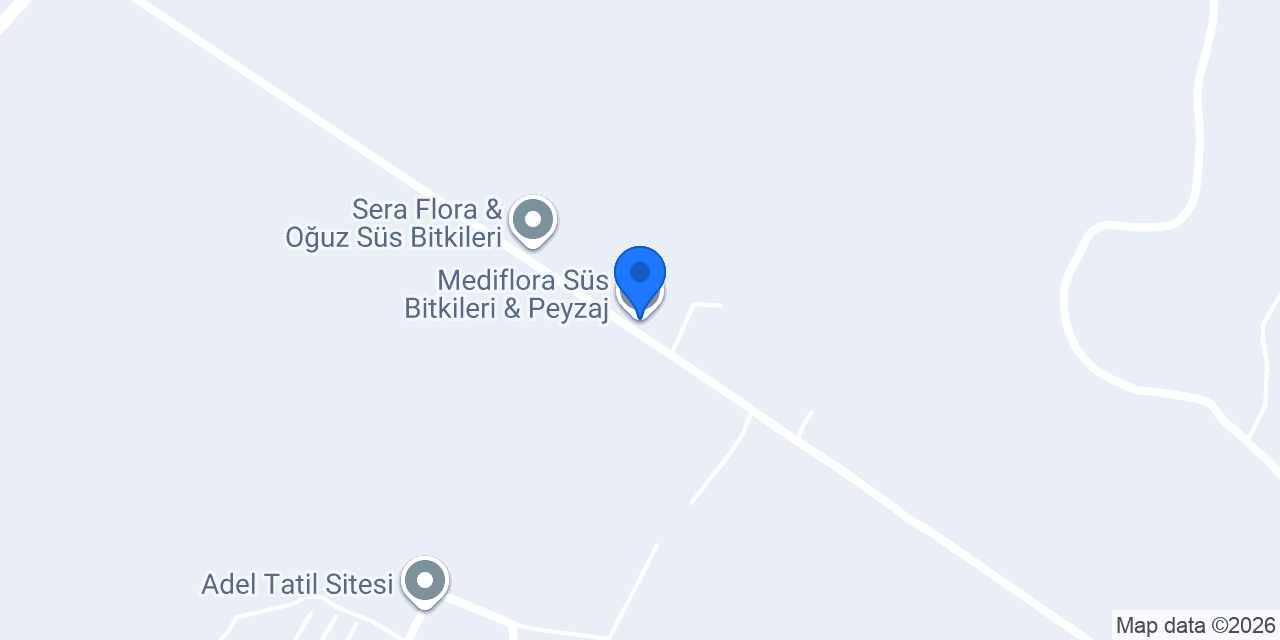 Mediflora Süs Bitkileri & Peyzaj konumu