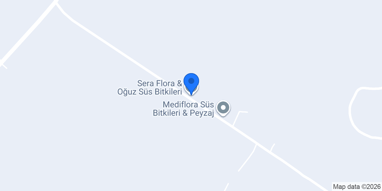 Sera Flora & Oğuz Süs Bitkileri konumu