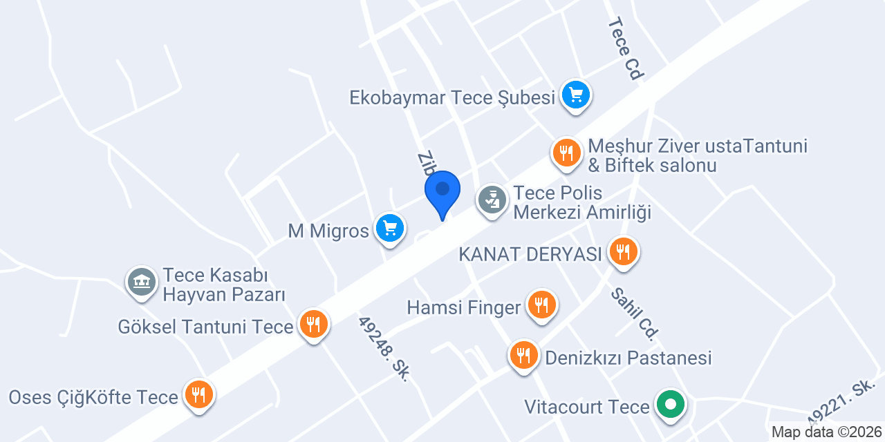 Bir Tek 33 Tantuni Tece konumu