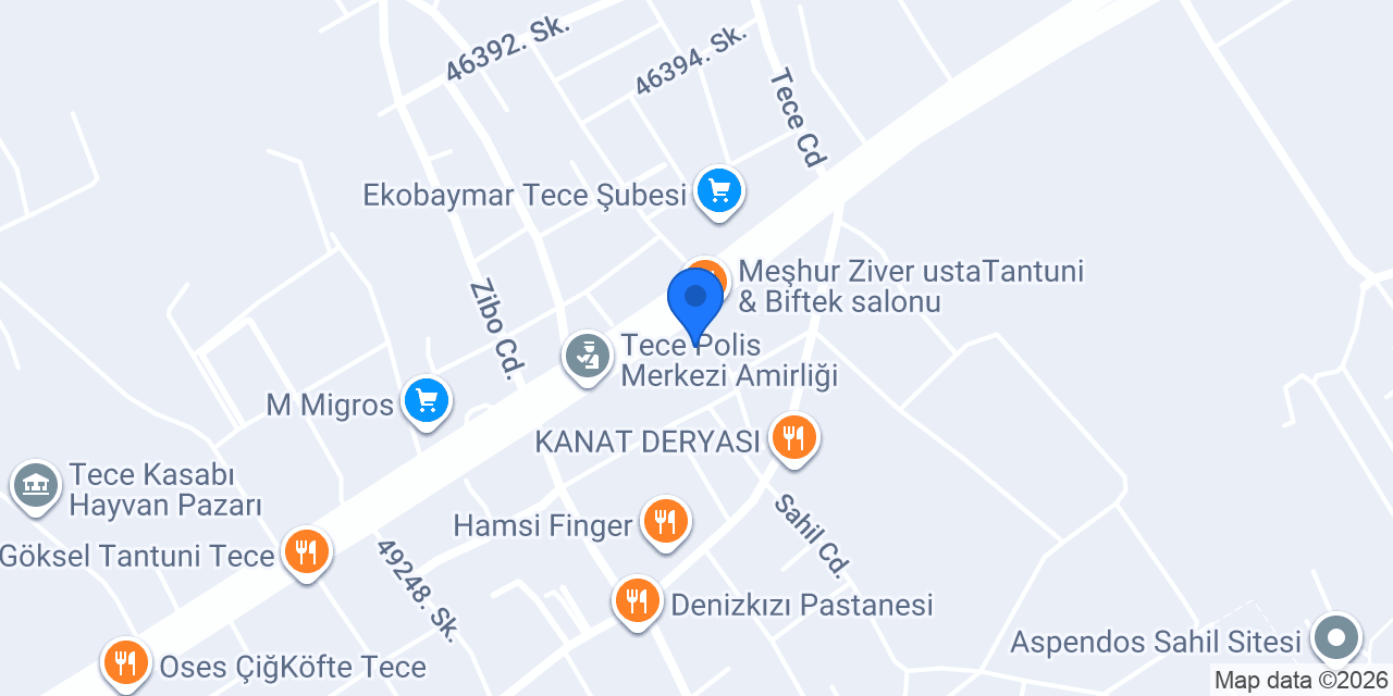Tece İlkokulu konumu